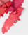 Thumbnail 3 van 4