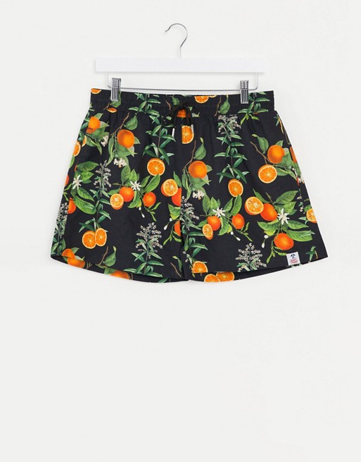 Hunky Trunks fruit swim shorts