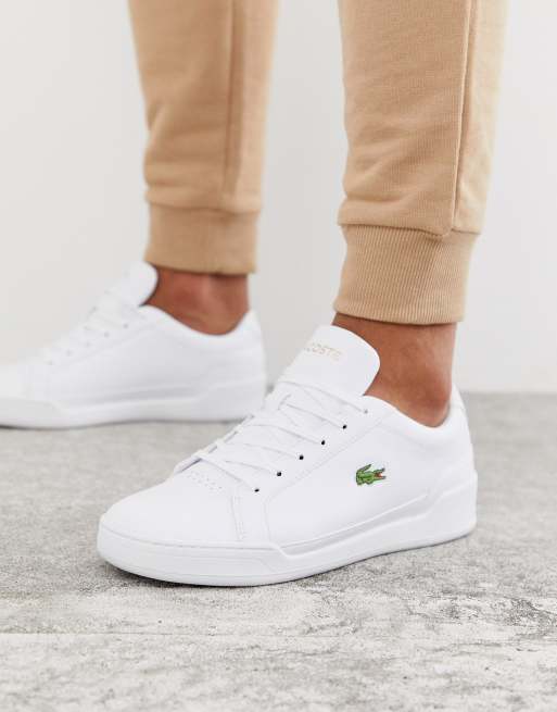 pakke At afsløre Næb Hvide sneakers i tredobbelt læder fra Lacoste Challenge | ASOS