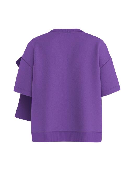 HYPEDROP Short sleeved sweatshirt in royal purple1, 5 of 5