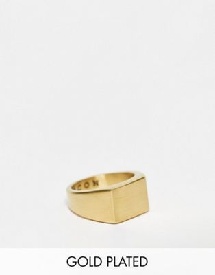 Icon Brand 14K gold plated stainless steel signet ring in gold