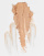 Thumbnail 4 van 4