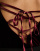 Thumbnail 4 van 4