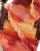 Thumbnail 4 von 4