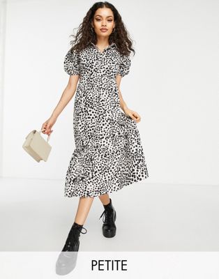 Influence Petite midi shirt dress in leopard print
