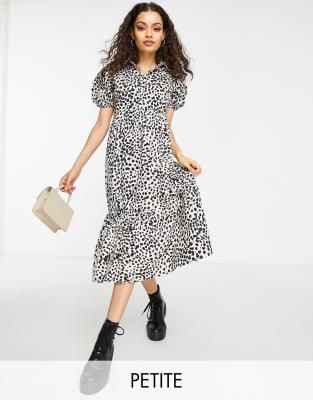 Influence Petite midi shirt dress in leopard print