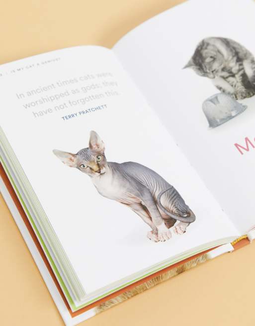 Is My Cat a Genius – Buch, 4 von 4