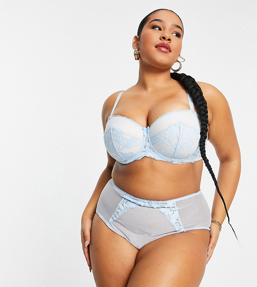Ivory Rose Curve high waist brief in blue-Blues