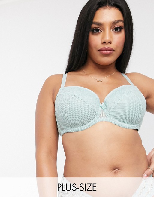 Ivory Rose Curve lace and mesh detail bra in sage green