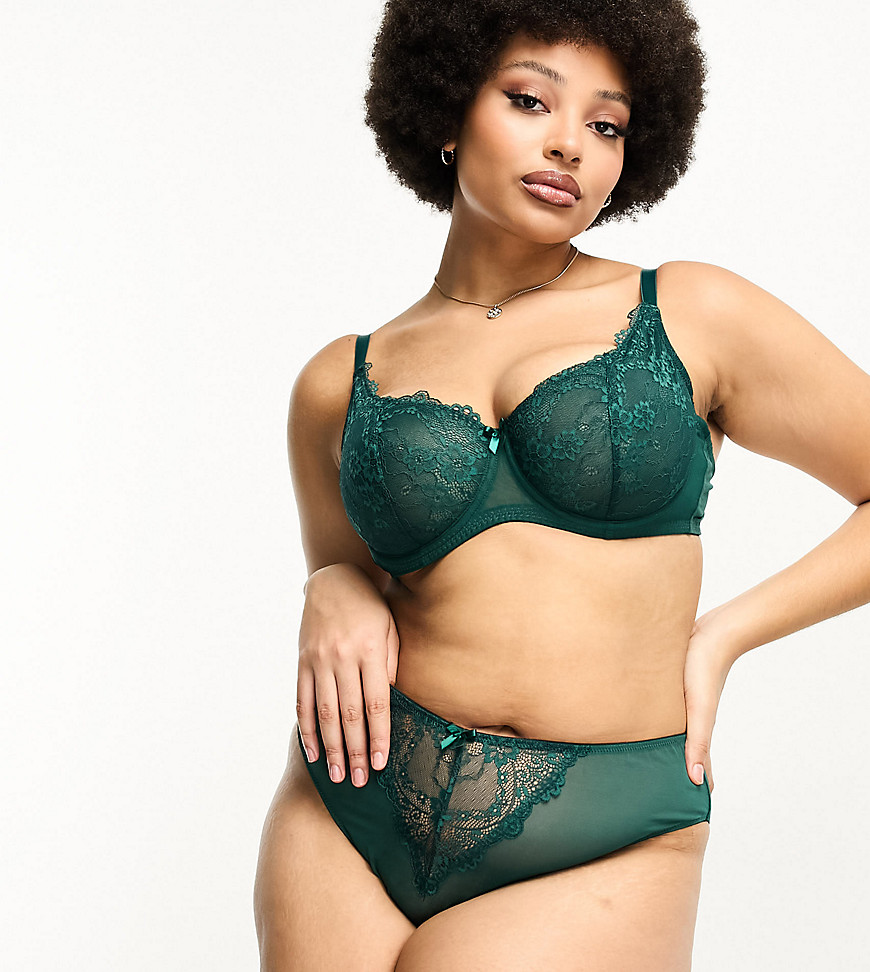 Ivory Rose Curve lace and mesh high leg high waist brazilian brief in emerald green