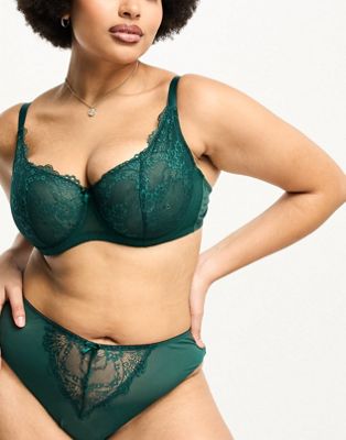 Ivory Rose Curve lace non padded sweetheart neckline bra in emerald green