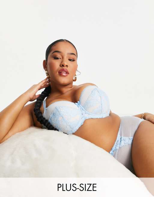 Ivory Rose Curve lace padded bra in blue