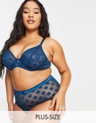 Ivory Rose Curve sheer dot mesh brief in teal - ASOS Price Checker