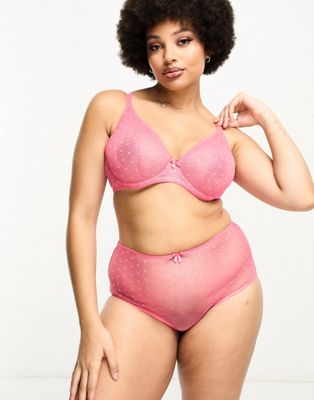 Ivory Rose Curve sheer heart mesh high waist brief in pink