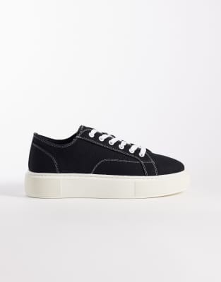  canvas trainer 