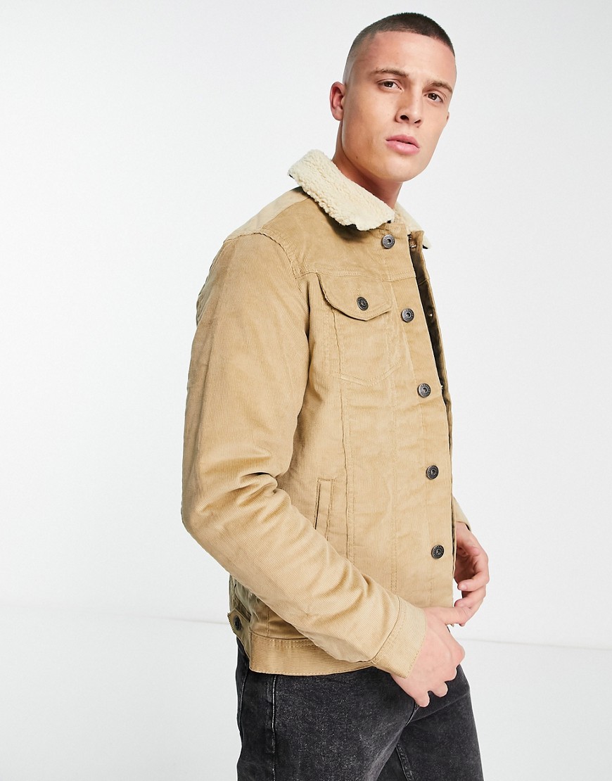 jack & jones intelligence cord jacket with borg collar in beige-neutral