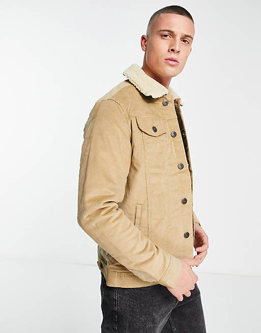 Jack & Jones Intelligence cord jacket with borg collar in beige | ASOS
