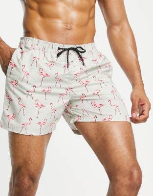 flamingo shorts