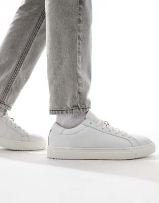  Radcliffe trainer 