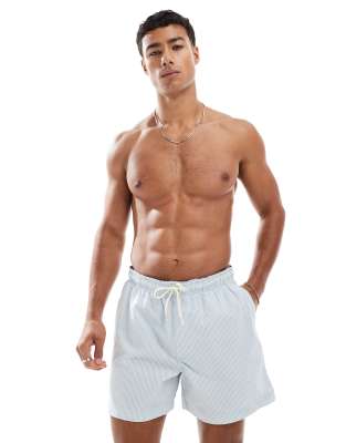 swim shorts in seersucker blue