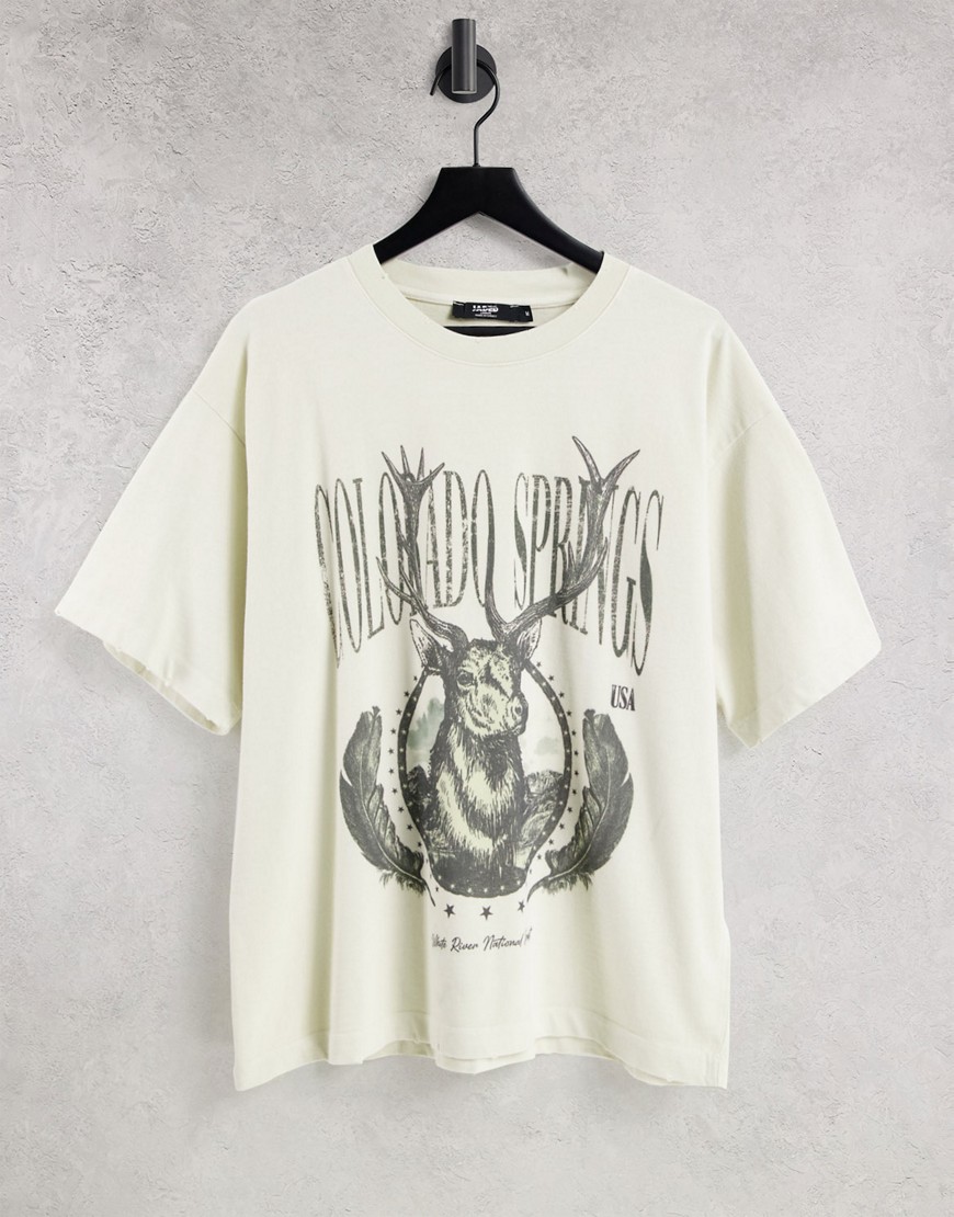 Jaded London oversized t-shirt in white with colorado print