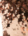 Thumbnail 4 of 5