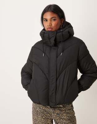 short padded jacket with hood in black