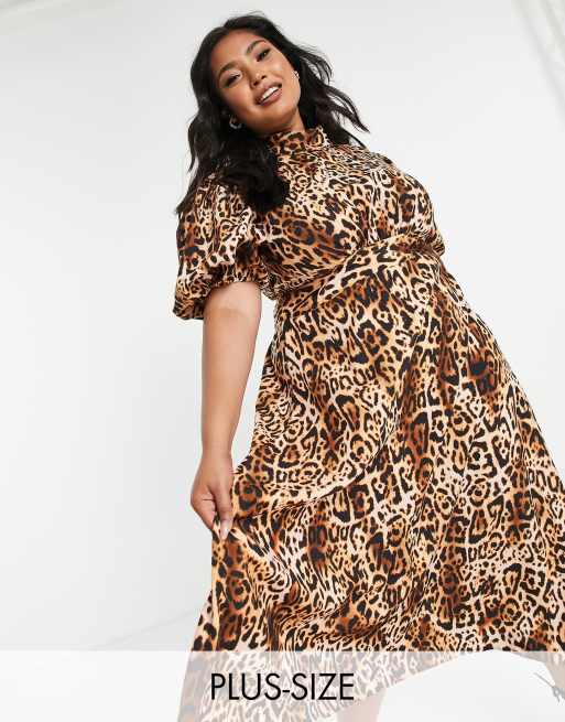 John zack leopard dress hotsell