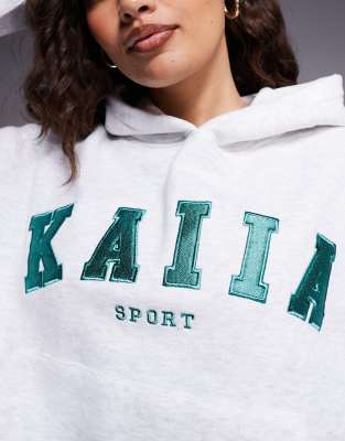 Kaiia Sport Petite Embroidered Logo Hoodie In Gray