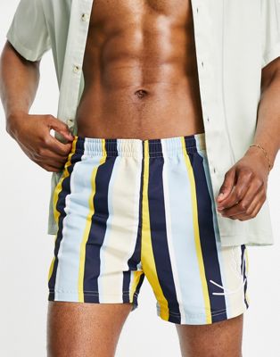 Karl Kani signature board shorts in multicolour stripe