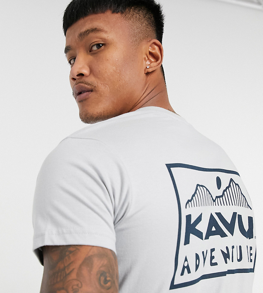 Kavu Adventure back print t-shirt in grey Exclusive at ASOS