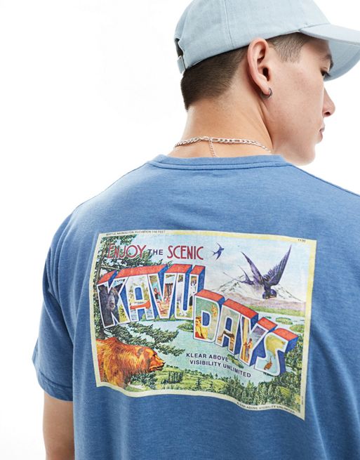 KAVU - Blå T-shirt med grafik på ryggen