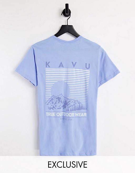 Kavu Landscape back print t-shirt in blue Exclusive at ASOS