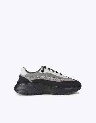  Leo trainers  combination