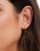 Thumbnail 2 of 3
