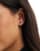 Thumbnail 3 van 3