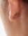 Thumbnail 3 of 3