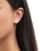 Thumbnail 1 von 3