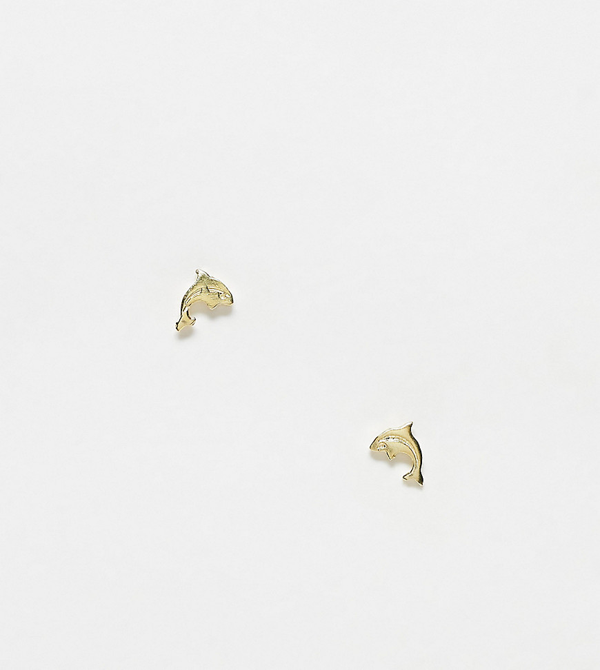 Kingsley Ryan Sterling Silver dolphin stud earrings in gold