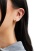 Thumbnail 3 van 4