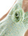Thumbnail 2 of 4