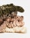 Thumbnail 2 von 3