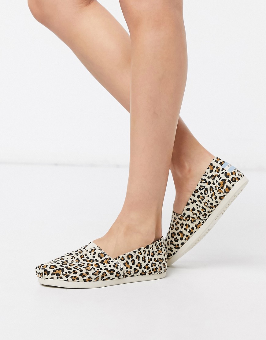 фото Классические парусиновые туфли с леопардовым принтом toms-мульти