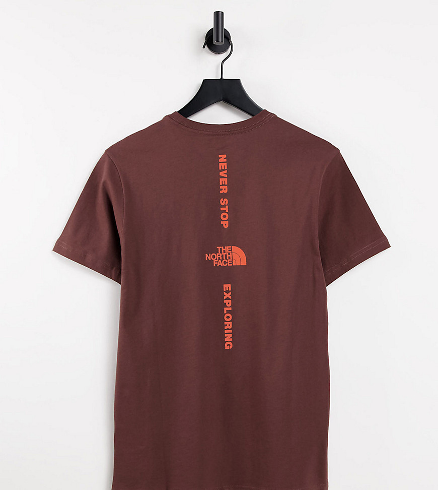 фото Коричневая футболка с вертикальным принтом the north face – эксклюзивно для asos-коричневый цвет