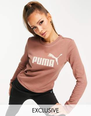 фото Коричневый свитшот с логотипом puma essentials-коричневый цвет