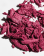 Thumbnail 2 of 5