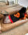 Thumbnail 2 von 4