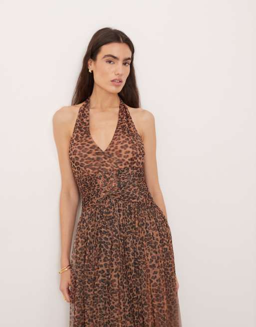 Lace & Beads - Daphne - Maxi jurk van tule met halternek en korset in luipaardprint , 3 van 4
