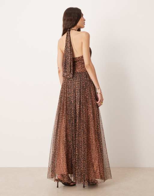 Lace & Beads - Daphne - Maxi jurk van tule met halternek en korset in luipaardprint , 4 van 4