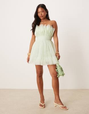 Lace & Beads Petite Bandeau Structured Mini Dress